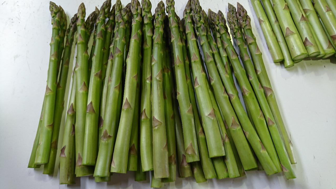 アスパラ